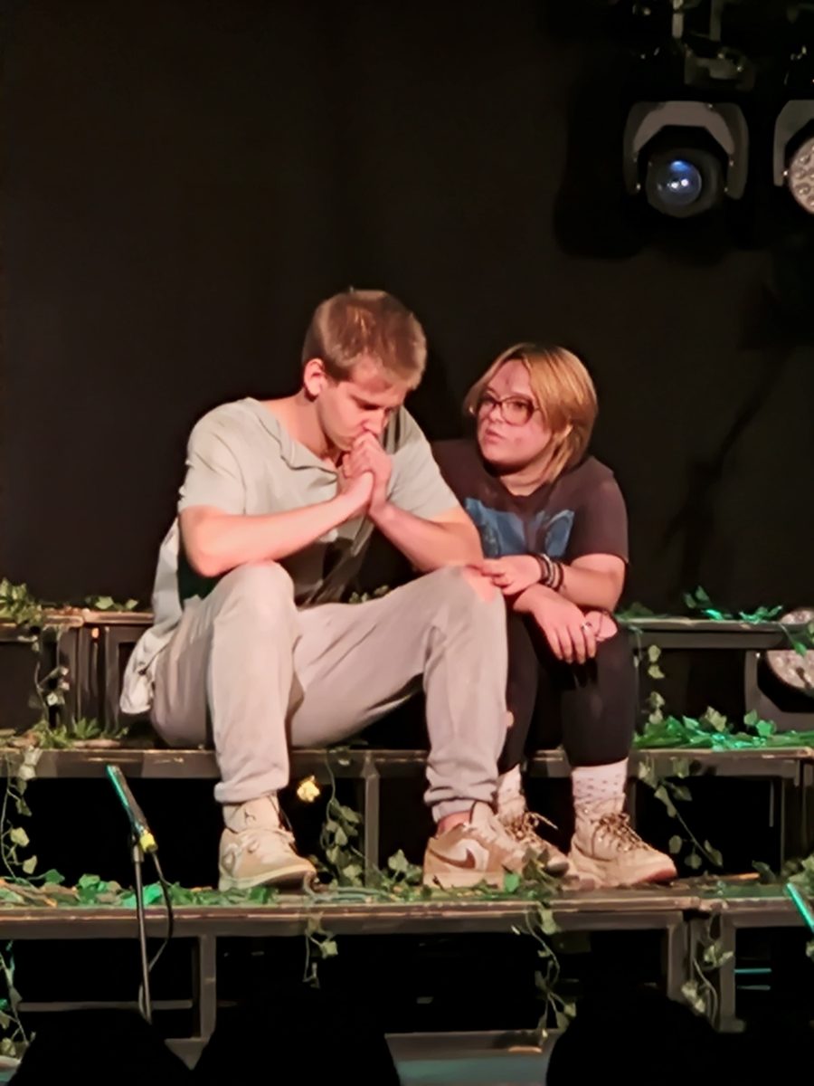 Prizor iz predstave Gospodar Muva - uživo (7)
